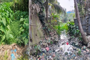 হবিগঞ্জে জলাবদ্ধতায় চরম ভোগান্তিতে ৫০০ পরিবার