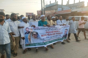 সকল ভেদাভেদ ভুলে ধানের শীষের পক্ষে কাজ করতে হবে : হাকিম চৌধুরী