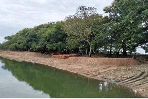 বিএনপি নেতার দাপটে দখল হয়ে যাচ্ছে পান্ডারখাল বাঁধ