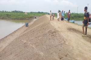 জামালগঞ্জে সময়সীমা পেরিয়ে গেলেও অরক্ষিত হাওরের ক্লোজার