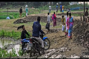 শাল্লায় ছায়ার হাওর রক্ষা বাঁধে লুটের মহোৎসব