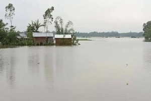 মৌলভীবাজারে পাহাড়ি ঢলে নিম্নাঞ্চল প্লাবিত: পানিবন্দি ৫ শতাধিক পরিবার