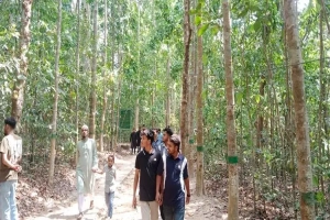 ধারণক্ষমতার বাইরে পর্যটক: অস্তিত্ব সংকটে লাউয়াছড়া জাতীয় উদ্যান