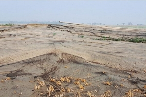 নবীগঞ্জে প্রকাশ্যে চলছে অবৈধভাবে মাটি-বালু উত্তোলন