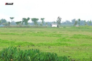 ৫০০ কোটি টাকা ব্যয়ে চাষের আওতায় আনা হচ্ছে হাওরের পতিত জমি