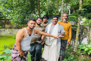 বিশ্ব সাপ দিবসে শ্রীমঙ্গলে অজগর উদ্ধার