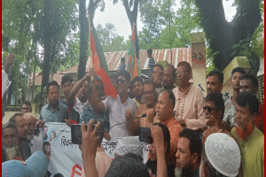 শাল্লায় বিভিন্ন রাজনৈতিক দলের বিজয় র‌্যালি