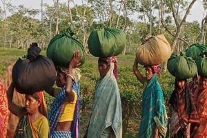 ‘বাজেট কী, এর ভিতরে কী থাকে?’