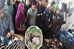 মৌলভীবাজারে ৩৮ কেজি নিষিদ্ধ পিরানহা মাছ জব্দ, ব্যবসায়ীকে জরিমানা
