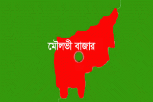 মৌলভীবাজারে ফ্ল্যাট থেকে পড়ে নারীর রহস্যজনক মৃত্যু,সঙ্গী যুবক আটক