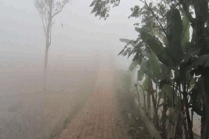 মৌলভীবাজারে সর্বনিম্ন তাপমাত্রা, মৃদু শৈত্যপ্রবাহে বাড়ছে দুর্ভোগ