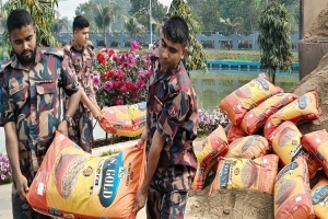 মাধবপুরে ট্রাক ভর্তি বালুর নিচে ১.৫৫ কোটি টাকার জিরা ও চশমা জব্দ