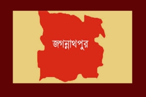 জগন্নাথপুরে বিদ্যুৎপৃষ্টে বৃদ্ধের মৃত্যু