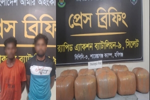 মাধবপুরে ৪৪ কেজি গাঁজাসহ দুই মাদক কারবারি গ্রেপ্তার
