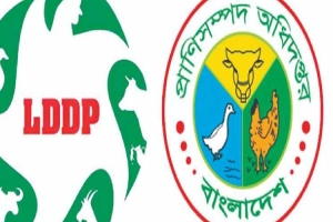 আজমিরীগঞ্জে এলডিডিপি প্রকল্পে অনিয়মের অভিযোগ