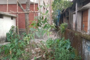 তাহিরপুরে বিদ্যালয়ের টয়লেটের দুর্গন্ধে অতিষ্ঠ কোমলমতি শিক্ষার্থীরা