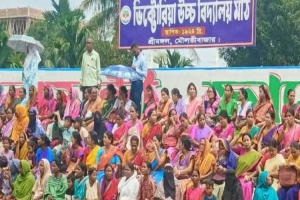 শ্রীমঙ্গলে প্রধানমন্ত্রী তারেক রহমানের ফ্যামিলি কার্ড কর্মসূচির উদ্বোধন
