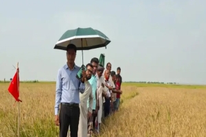 সুনামগঞ্জে ৪ কোটি টাকার খাস জমি উদ্ধার