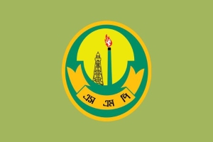 সিলেটে এসএমপির ৩২ ঘণ্টায় বিশেষ অভিযানে আটক ৬৭
