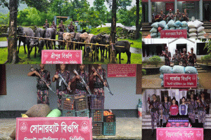 সিলেট সীমান্তে বিজিবির অভিযান: ৬৪ লাখ টাকার পণ্য জব্দ, আটক ২