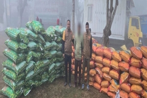 শায়েস্তাগঞ্জে ডিবির অভিযানে ৮৮ বস্তা ভারতীয় জিরা উদ্ধার, গ্রেফতার ১