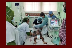 সদ্য প্রস্ফুটিত একটি গোলাপের প্রয়াণ!