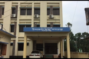 দিরাইয়ে অটোরিকশা উল্টে বৃদ্ধা নিহত, আহত ৪