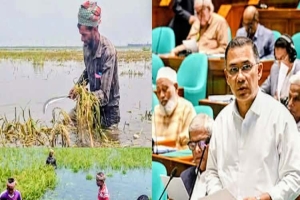 দিরাইয়ে মাঠে না গিয়েই অফিসে বসে ক্ষতিগ্রস্ত কৃষকদের তালিকা!