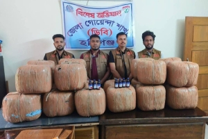 মাধবপুরে ১২৯ কেজি গাঁজাসহ নারী গ্রেপ্তার