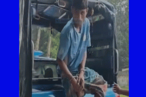 দিরাইয়ে ইয়াবাসহ মাদক ব্যবসায়ী গ্রেফতার