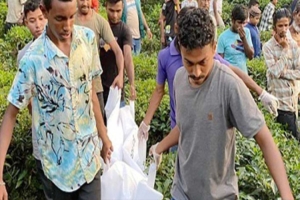 মাধবপুরের সুরমা চা বাগান থেকে অজ্ঞাত যুবকের লাশ উদ্ধার