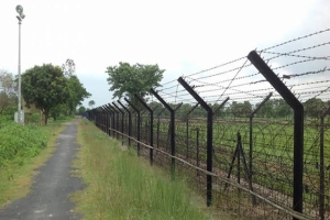 কুলাউড়া সীমান্তে ভারতীয় গরুর চোরাচালান বৃদ্ধি