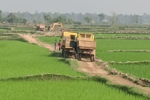 আইন অমান্য করে টপ সয়েল লুট: শান্তিগঞ্জে ধ্বংস হচ্ছে গ্রামীণ রাস্তা