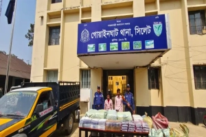 গোয়াইনঘাটে ৬৬ লাখ টাকার ভারতীয় পণ্যসহ দুইজন আটক