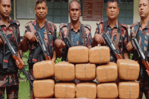 হবিগঞ্জে বিজিবির অভিযানে ৬০ কেজি ভারতীয় গাঁজা জব্দ
