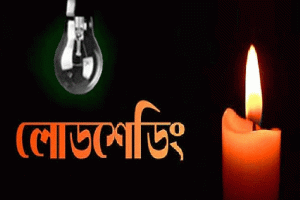 জাতীয় গ্রিডে বিদ্যুৎ বিপর্যয়ের কারণ জানাল মন্ত্রণালয়