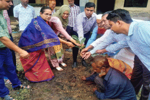 পরিবেশ রক্ষায় বড়লেখা পৌরসভার বৃক্ষরোপণ কর্মসূচি শুরু