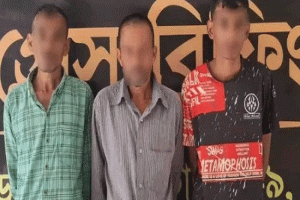 চুনারুঘাটে পিকআপ ভর্তি গাঁজা, তিন মাদক কারবারি গ্রেপ্তার