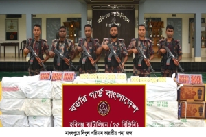 মাধবপুরে আড়াই কোটি টাকার ভারতীয় ওষুধ ও ট্রাক জব্দ