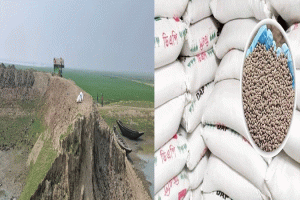শাল্লায় সরকারি সার কালোবাজারে বিক্রির অভিযোগ