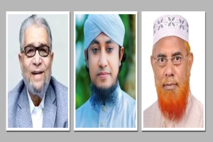 হবিগঞ্জ–৪ আসনে বিএনপির প্রার্থী ফয়সলের ঋণ ১,৯১৬ কোটি, স্ত্রীর সম্পদ ৩৩ কোটি টাকা